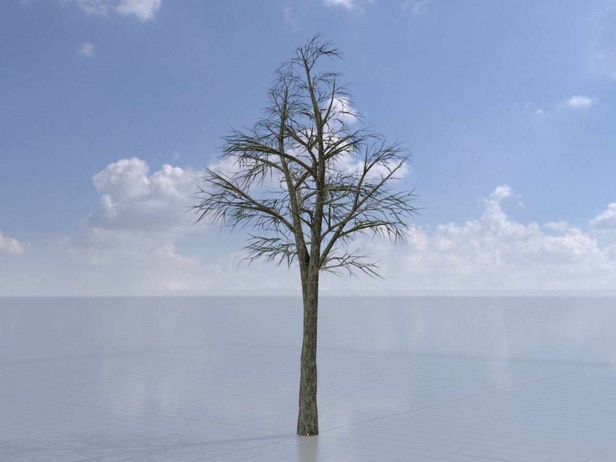 Alnus glutinosa tree winter Package 3D Model Collection_23