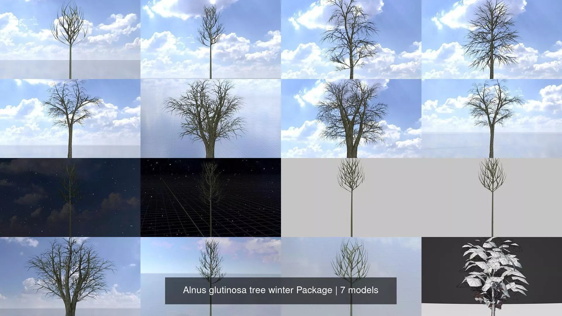 Alnus glutinosa tree winter Package 3D Model Collection_0