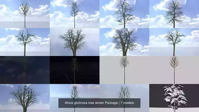 Alnus glutinosa tree winter Package 3D Model Collection