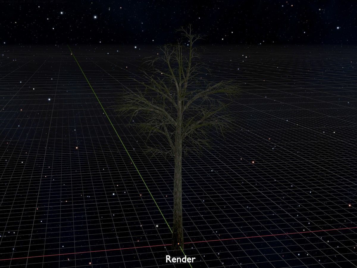 Alnus glutinosa tree winter Package 3D Model Collection_86