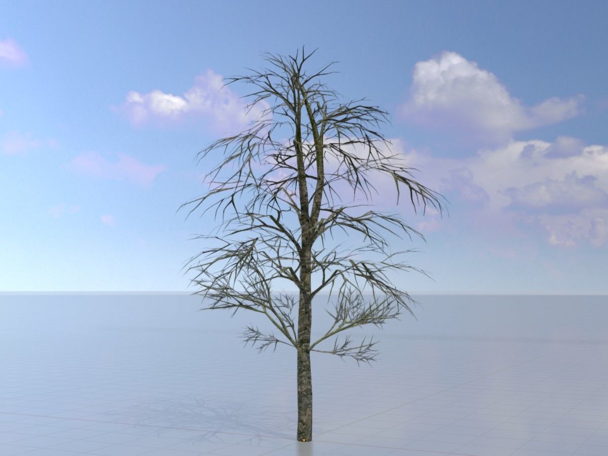 Alnus glutinosa tree winter Package 3D Model Collection_35