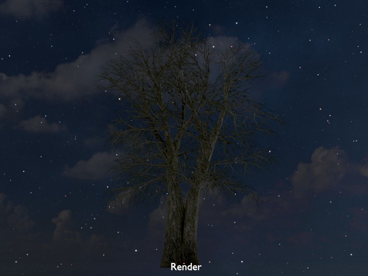 Alnus glutinosa tree winter Package 3D Model Collection_110