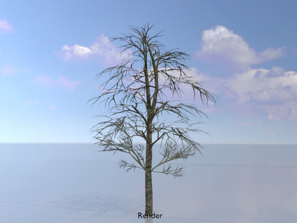 Alnus glutinosa tree winter Package 3D Model Collection_77