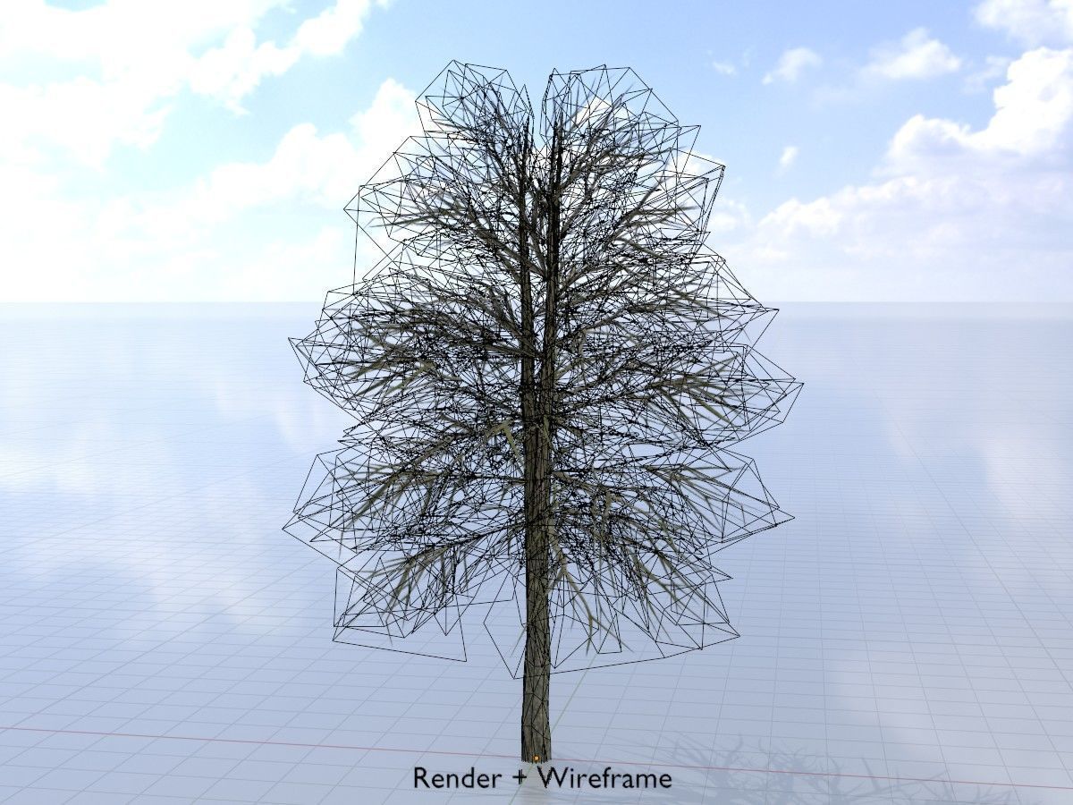 Alnus glutinosa tree winter Package 3D Model Collection_36