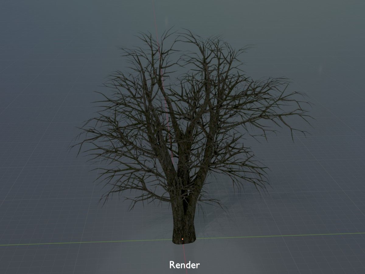 Alnus glutinosa tree winter Package 3D Model Collection_81