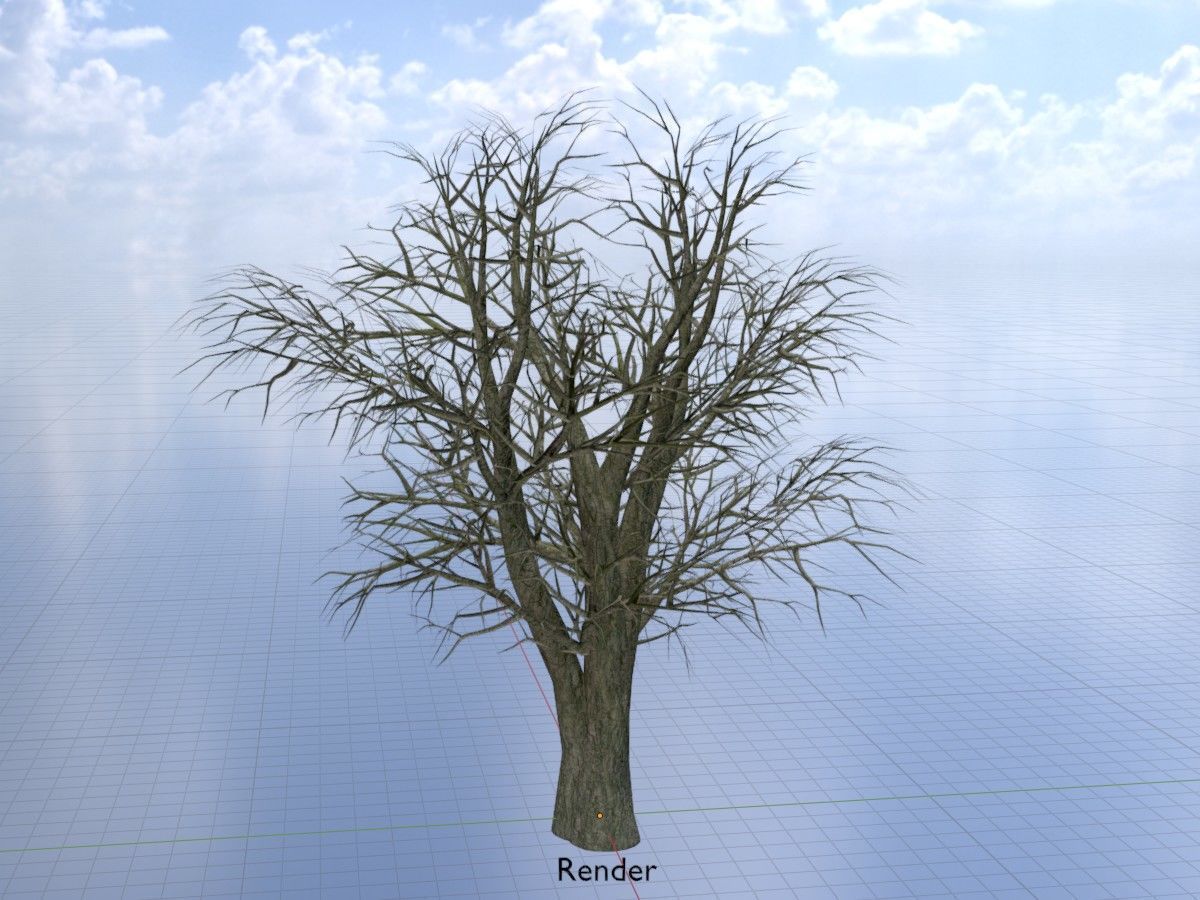 Alnus glutinosa tree winter Package 3D Model Collection_95