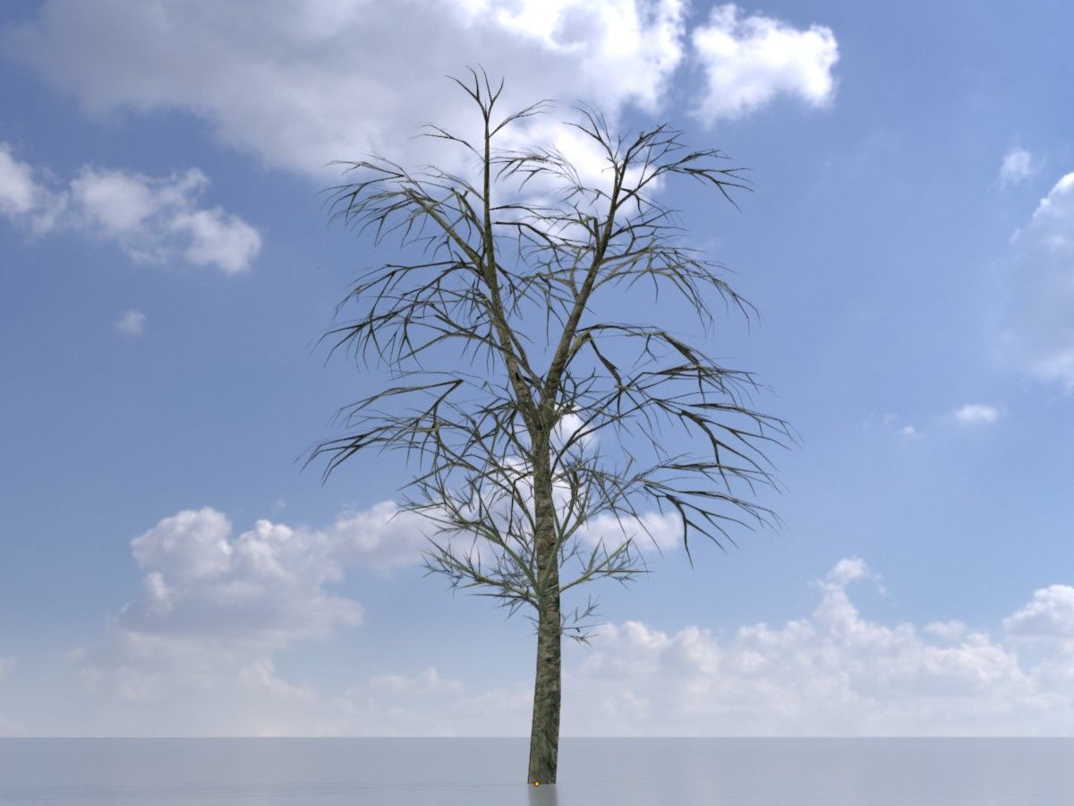 Alnus glutinosa tree winter Package 3D Model Collection_28