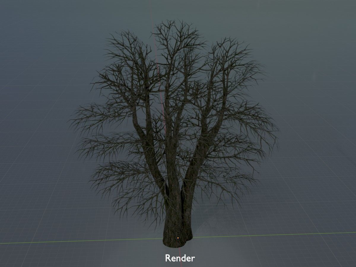 Alnus glutinosa tree winter Package 3D Model Collection_82