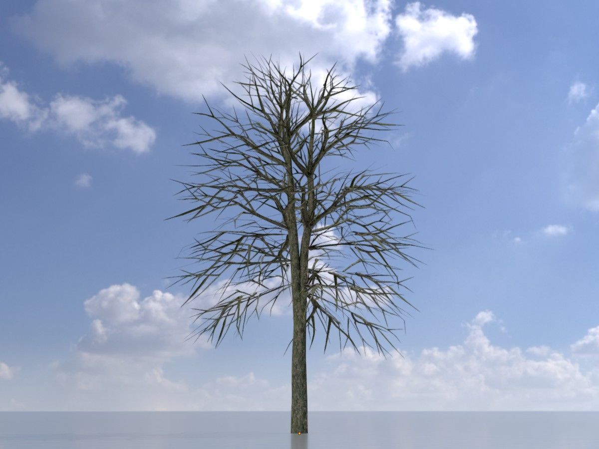 Alnus glutinosa tree winter Package 3D Model Collection_22