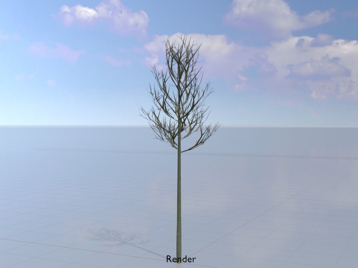 Alnus glutinosa tree winter Package 3D Model Collection_76