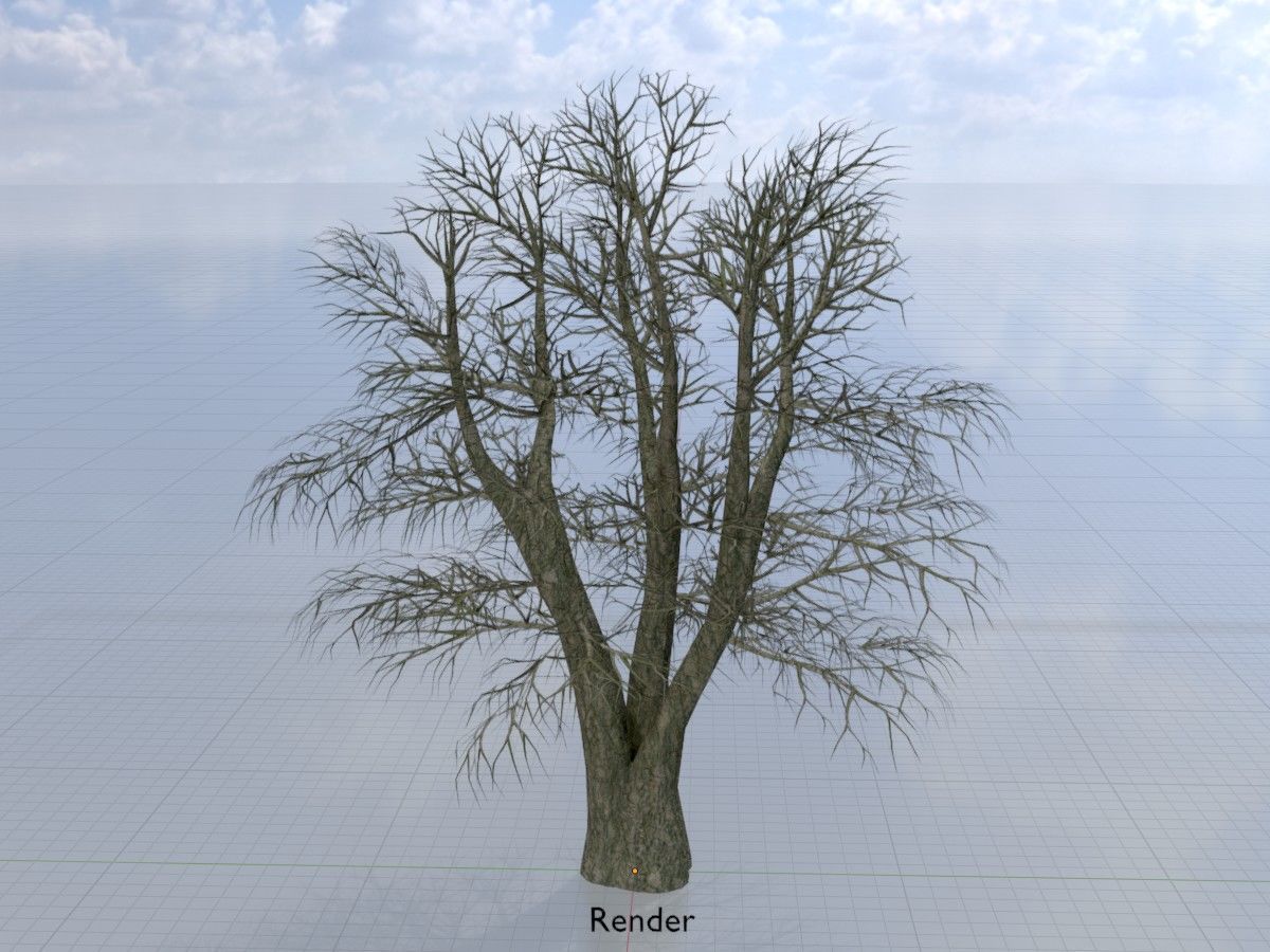 Alnus glutinosa tree winter Package 3D Model Collection_68