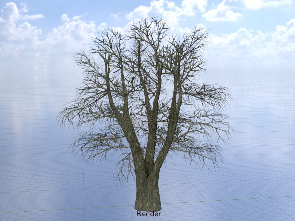 Alnus glutinosa tree winter Package 3D Model Collection_96