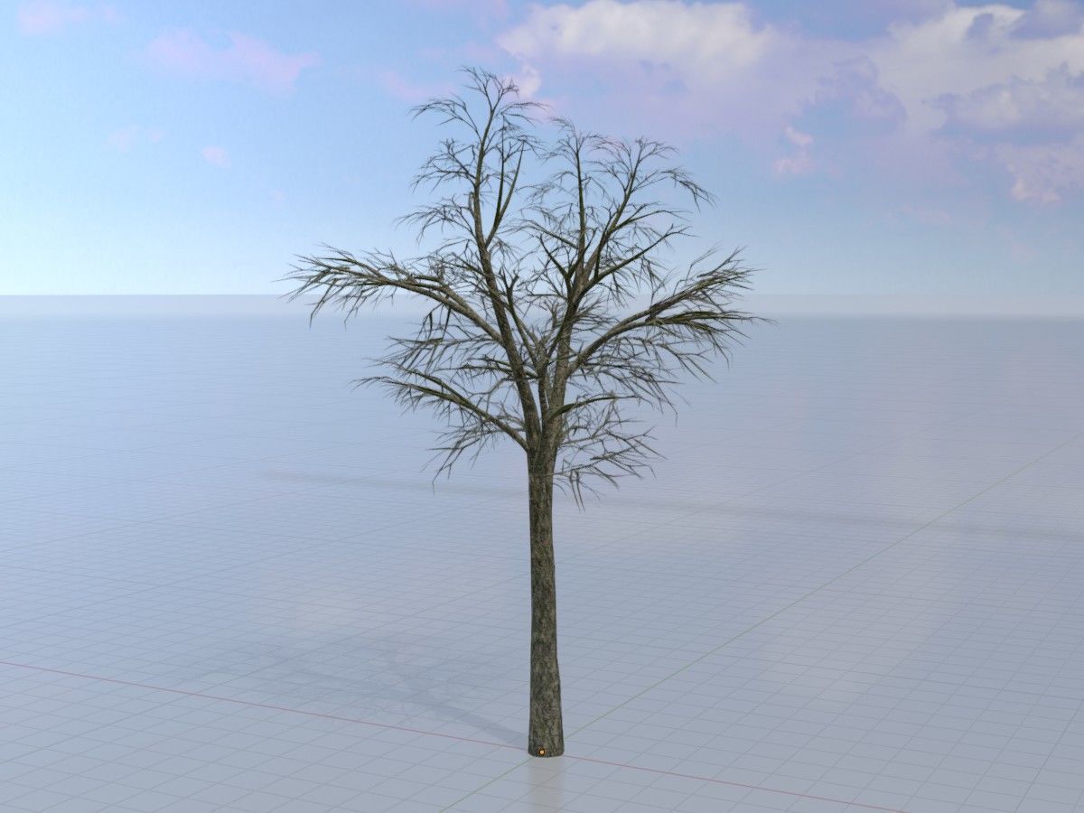 Alnus glutinosa tree winter Package 3D Model Collection_30