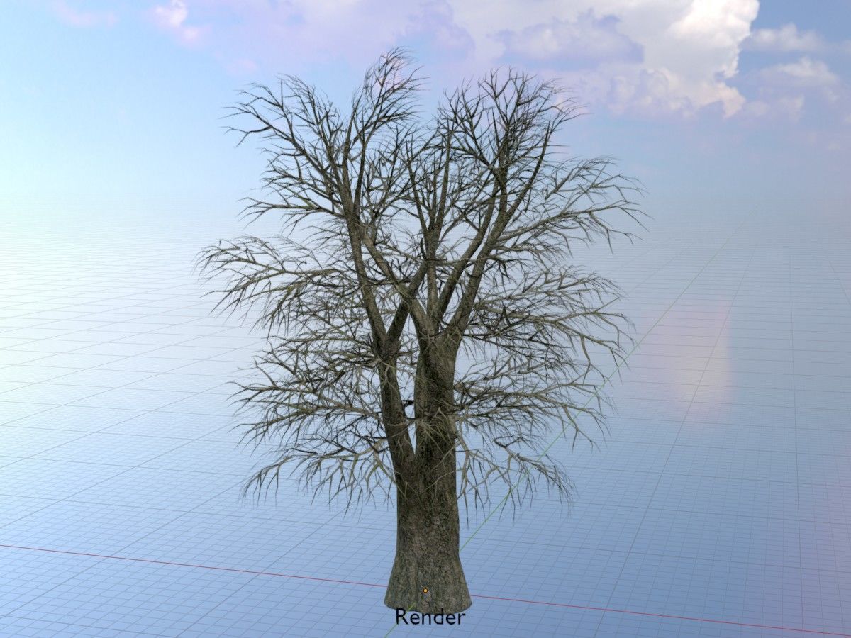 Alnus glutinosa tree winter Package 3D Model Collection_103