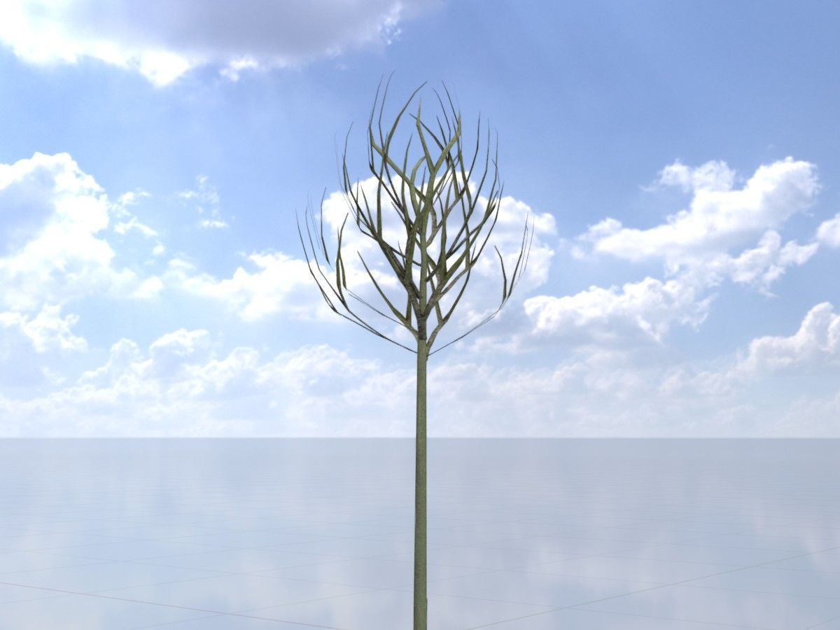 Alnus glutinosa tree winter Package 3D Model Collection_17