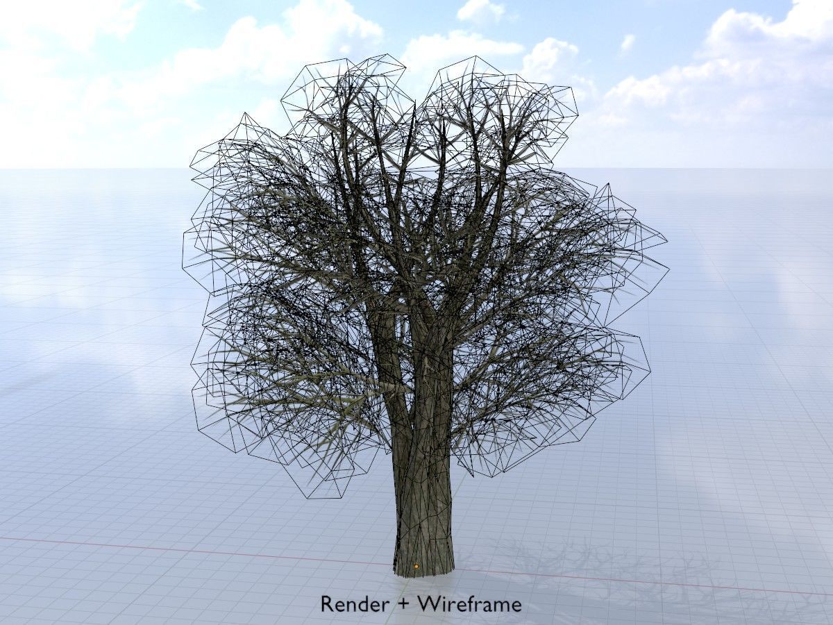 Alnus glutinosa tree winter Package 3D Model Collection_39