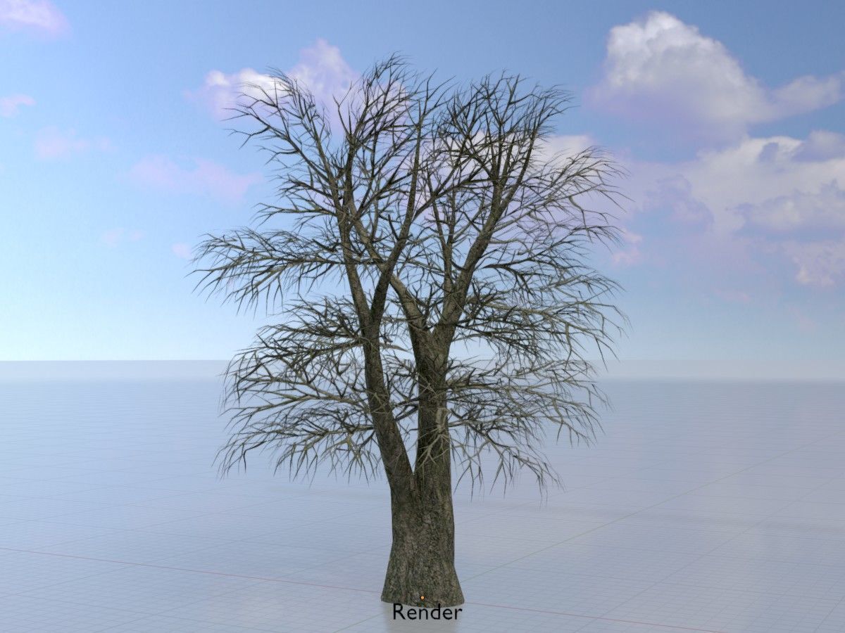 Alnus glutinosa tree winter Package 3D Model Collection_75