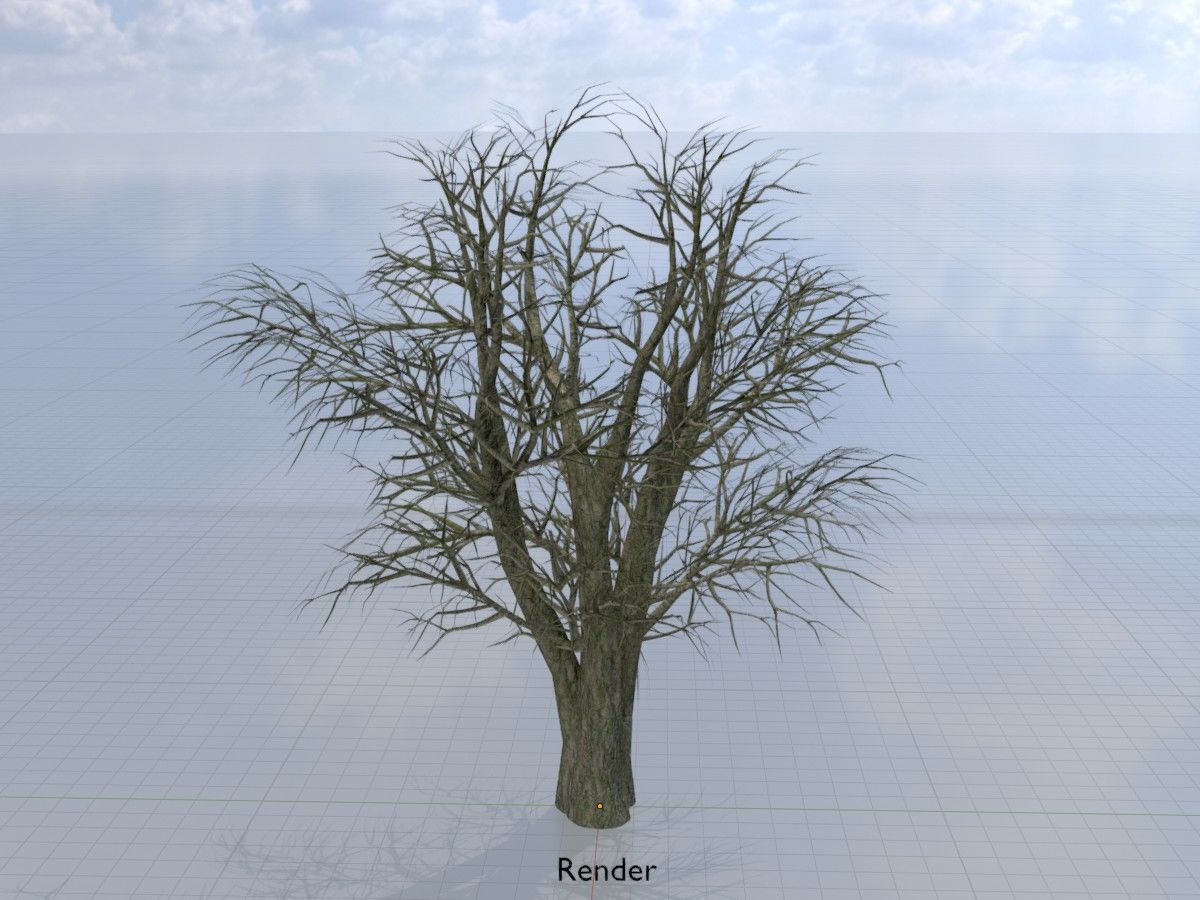 Alnus glutinosa tree winter Package 3D Model Collection_67