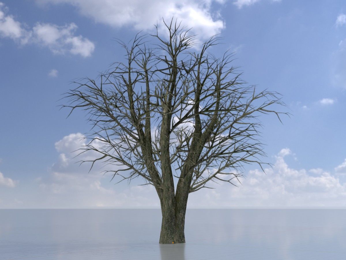 Alnus glutinosa tree winter Package 3D Model Collection_25