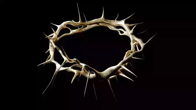 Thorn Crown 3D model