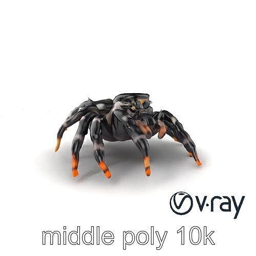 Elegant Jumping Spider 3D model pack Low-poly 3D model
