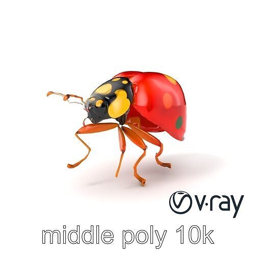 Rainforest Ladybug Colorful Beetle model pack Low-poly 3D model