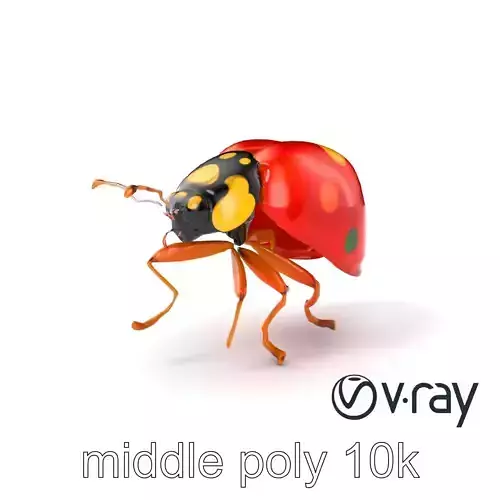 Rainforest Ladybug Colorful Beetle model pack