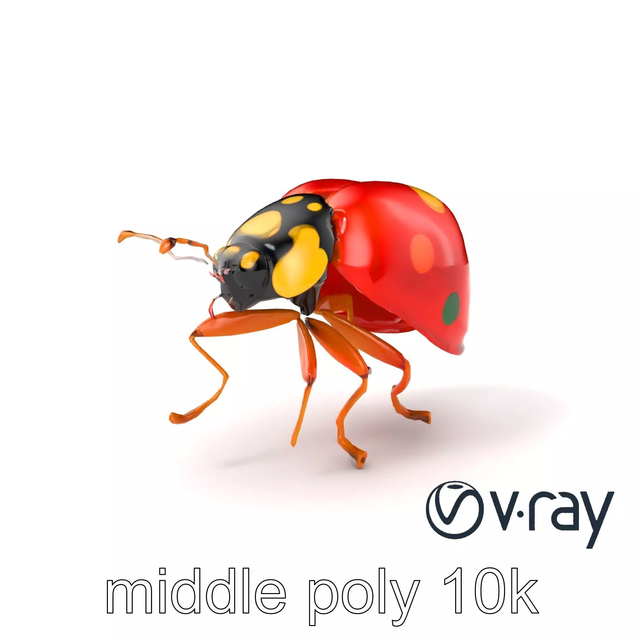Rainforest Ladybug Colorful Beetle model pack Low-poly 3D model