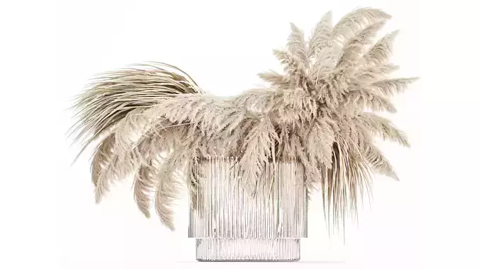 bouquet of dried flowers cortaderia pampas reed 514