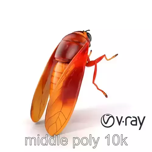 Amber-lit Cicada with Transparent Wings Model Pack Low-poly 3D model