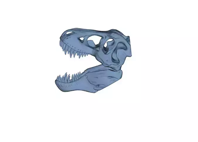 Tyrannosaurus Rex Skull
