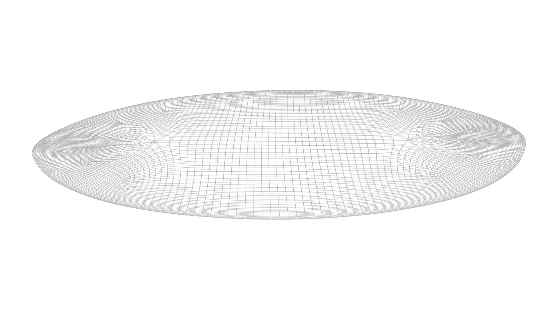 Oval Diatom 3D model_9