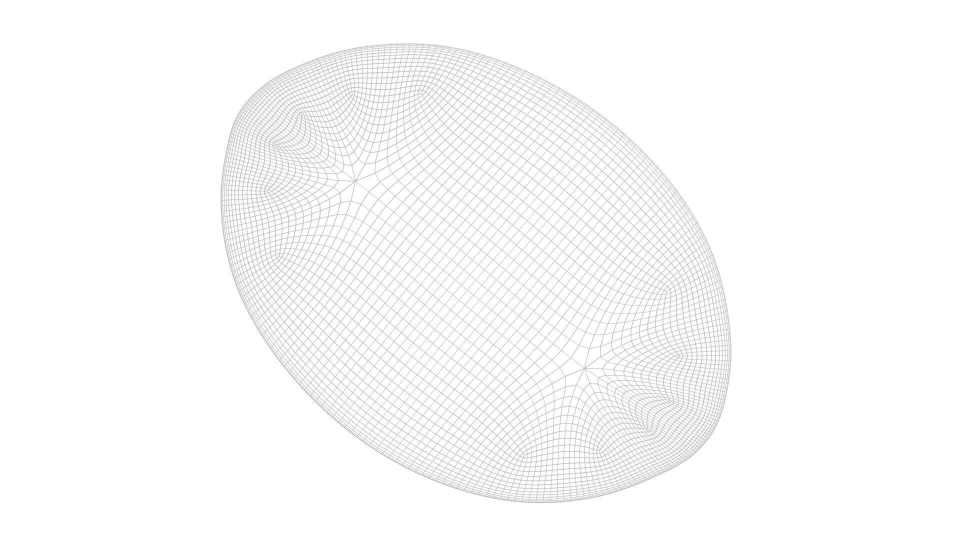 Oval Diatom 3D model_10