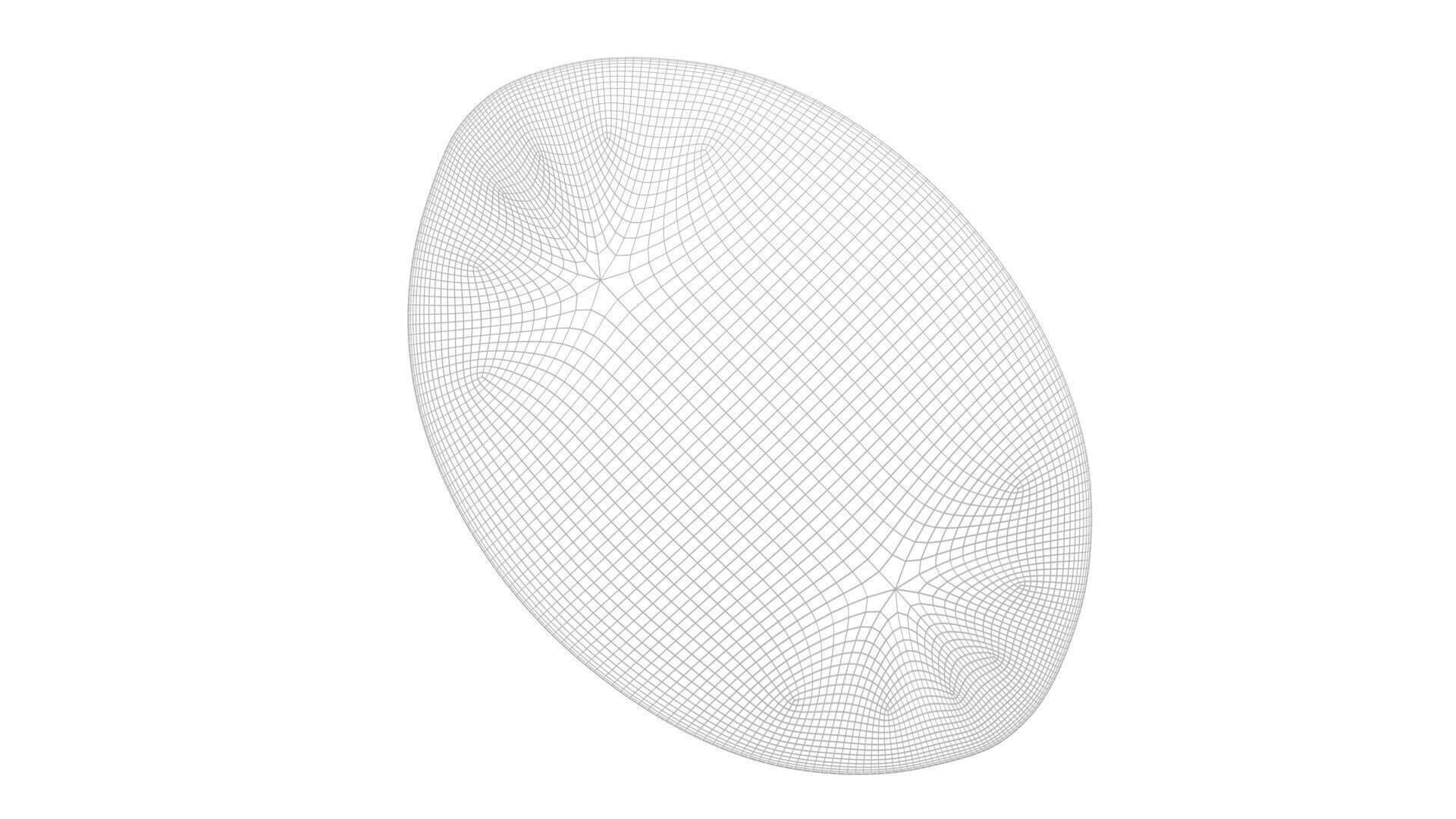 Oval Diatom 3D model_11