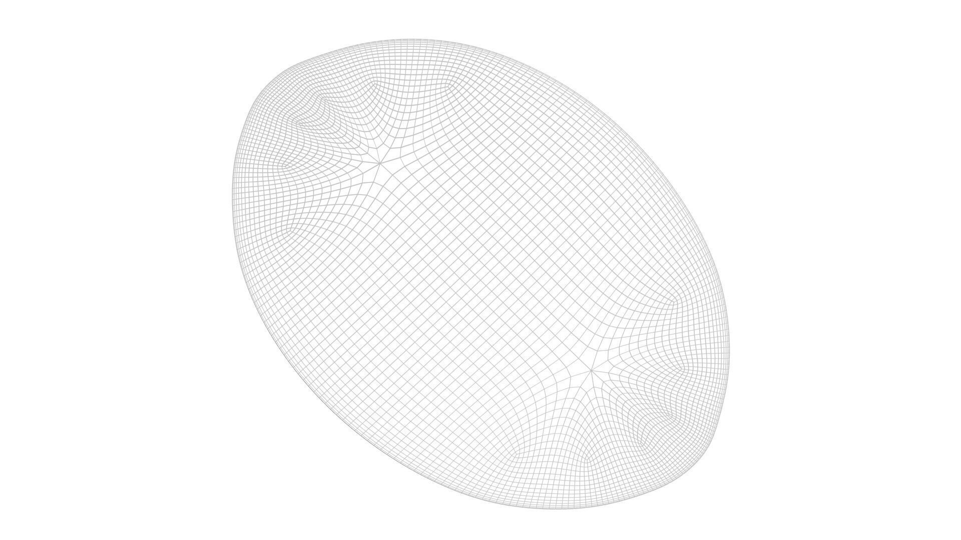 Oval Diatom 3D model_8
