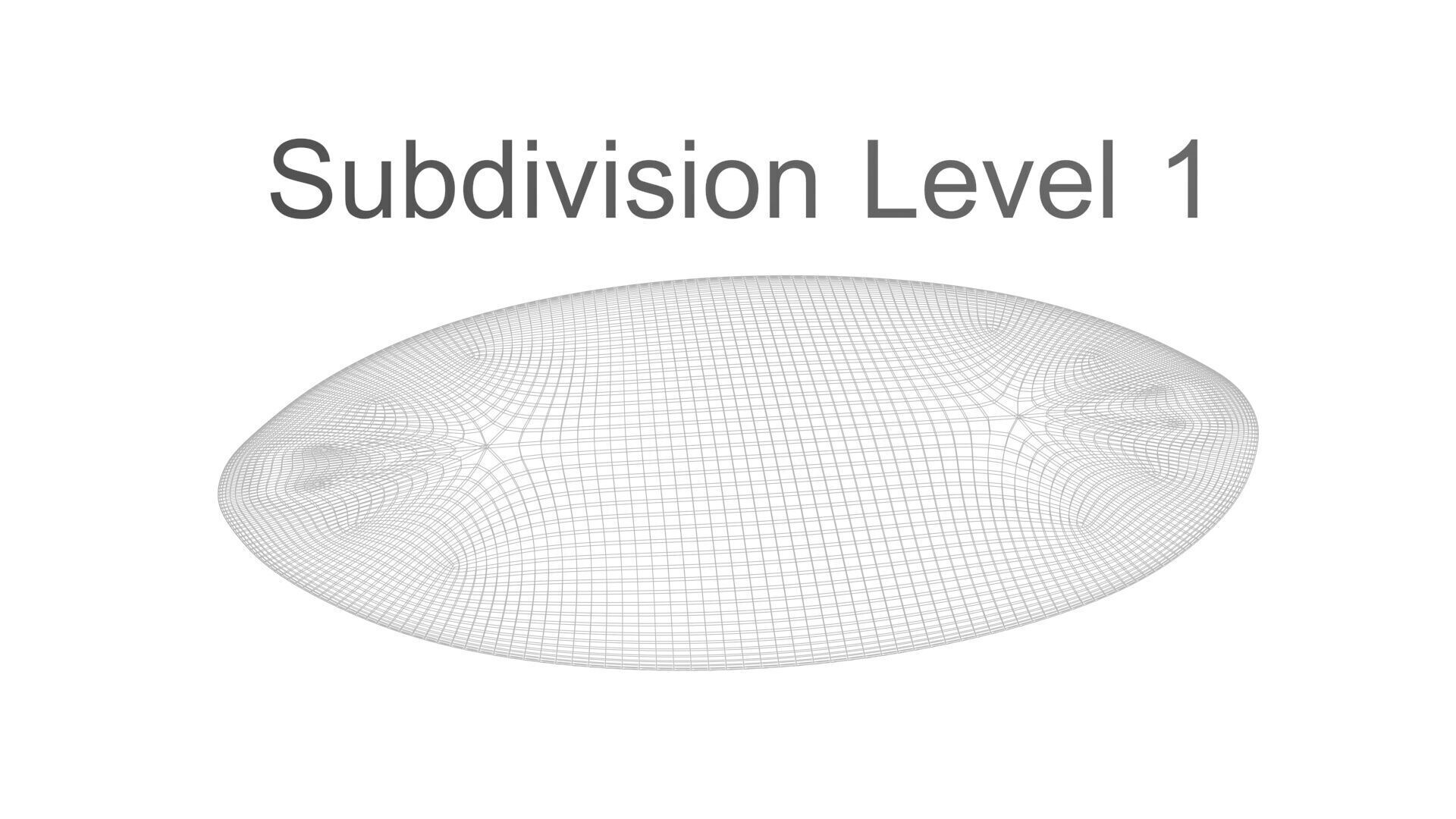 Oval Diatom 3D model_14