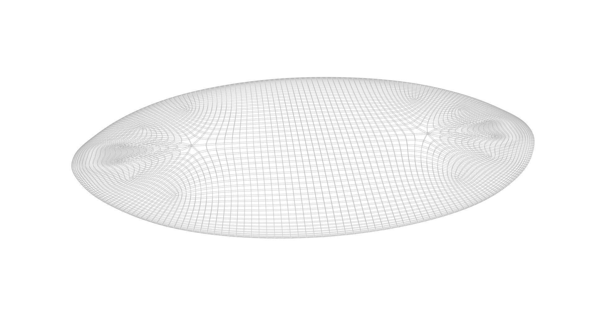 Oval Diatom 3D model_7