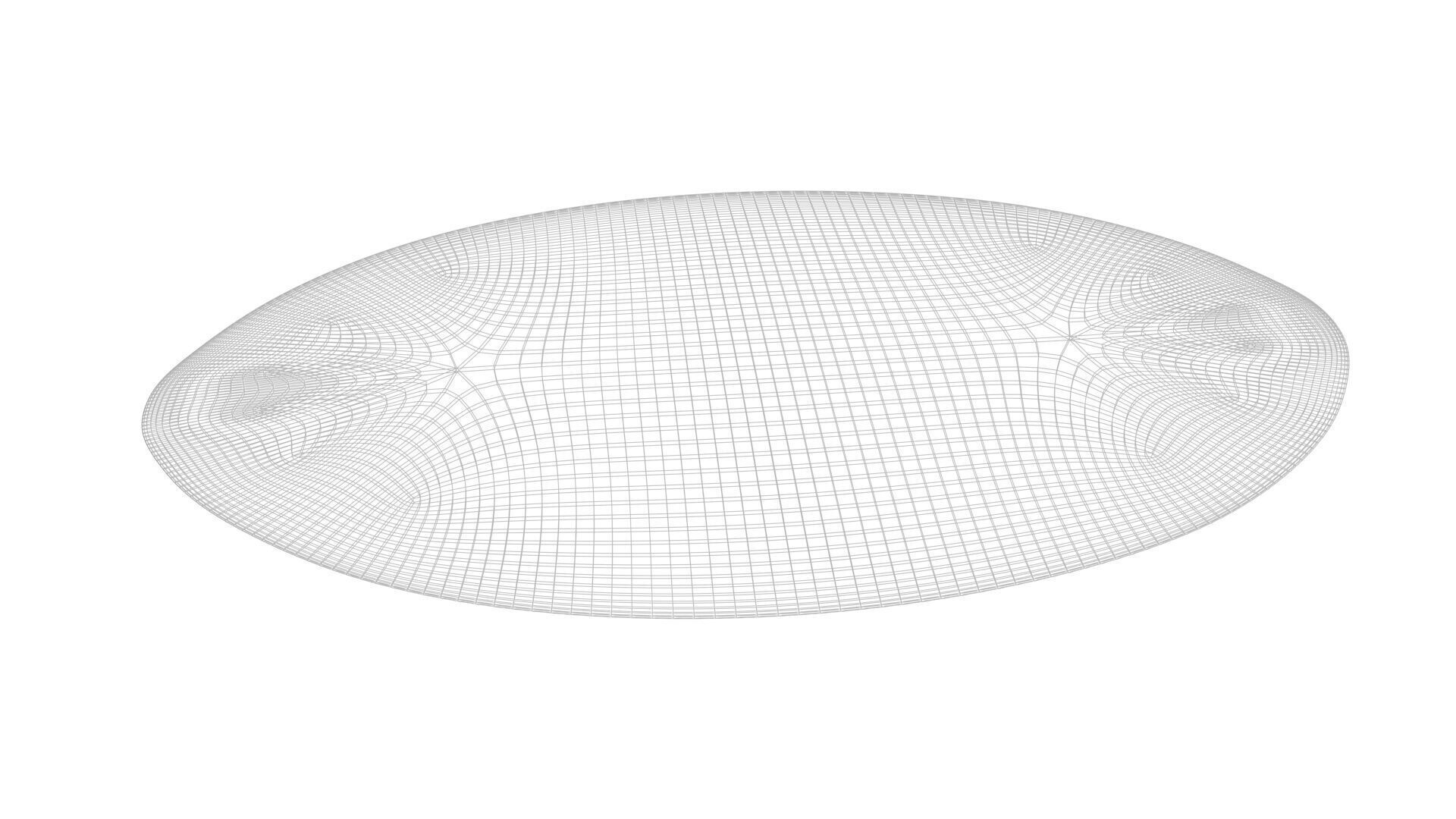 Oval Diatom 3D model_12