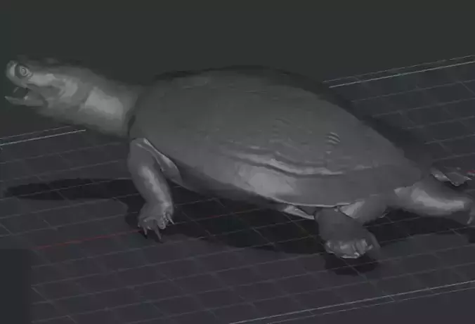 Tortoise  3D print model