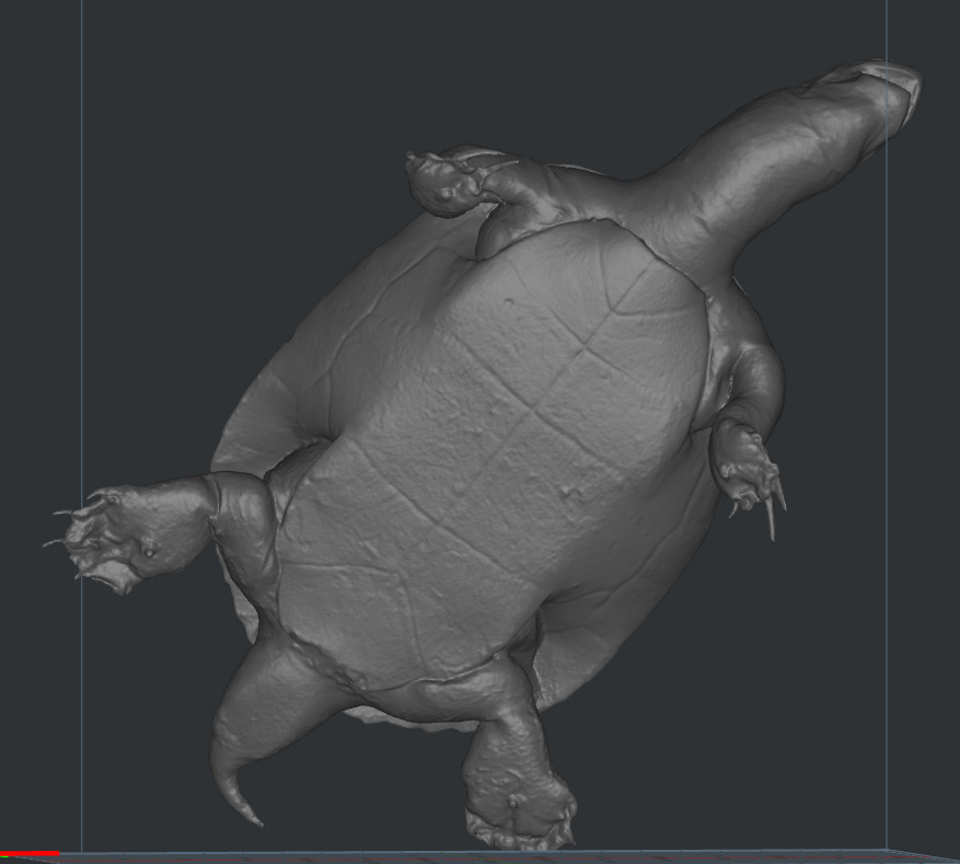 Tortoise  3D print model_2