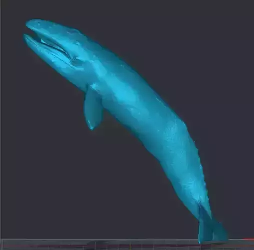 Whale figurine