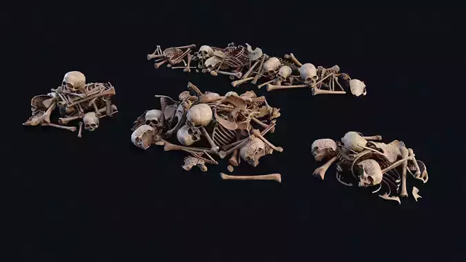 Human Bones Pile  Low-poly 3D model