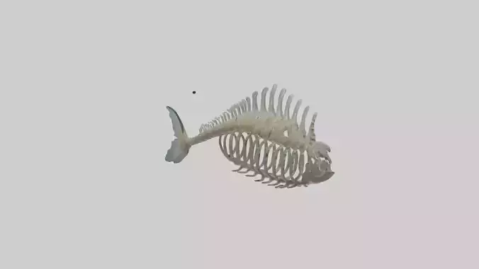 Fish Spine