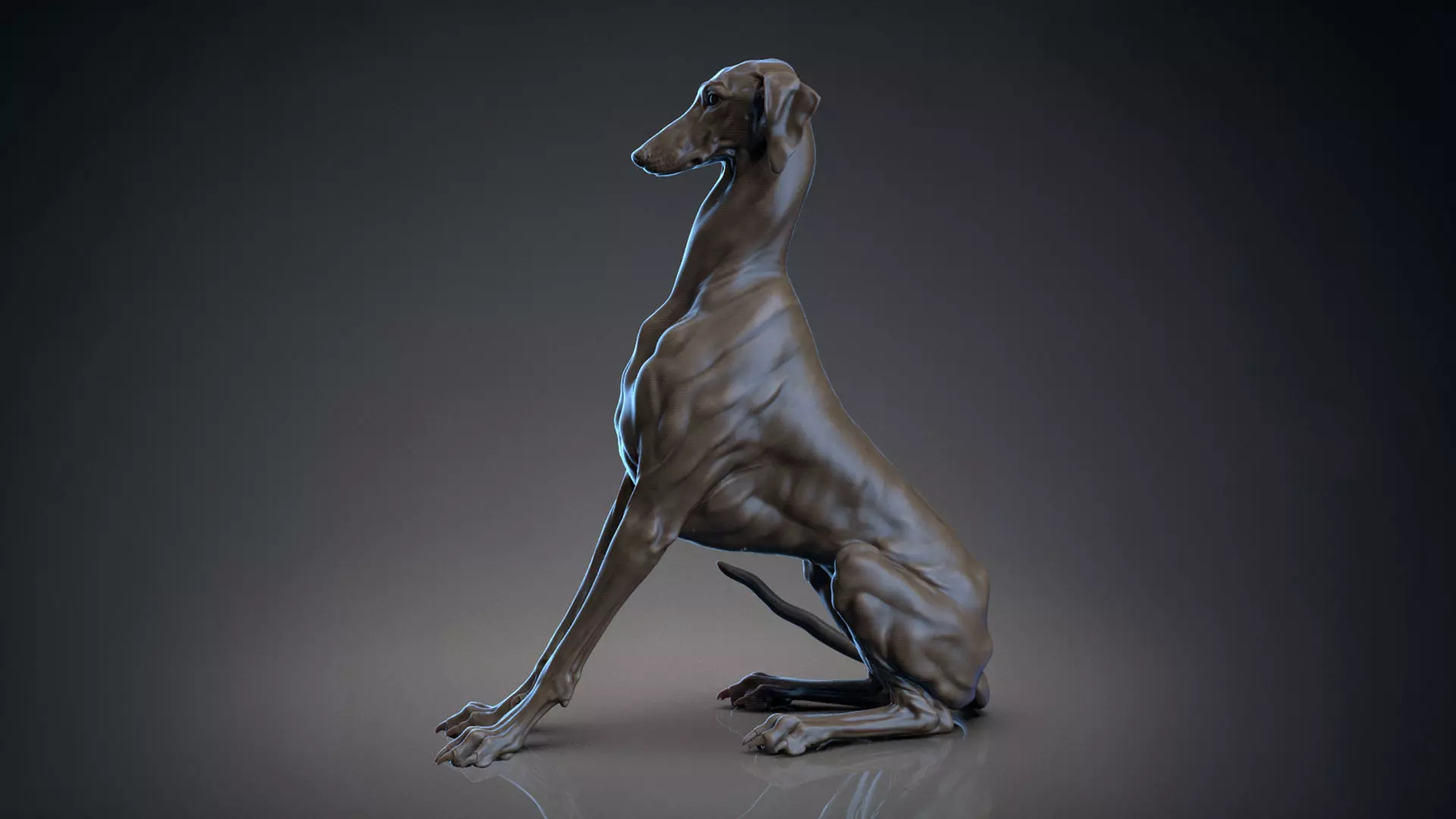 Dog Azawakh Symmetry - 3D Sculpting 3D model