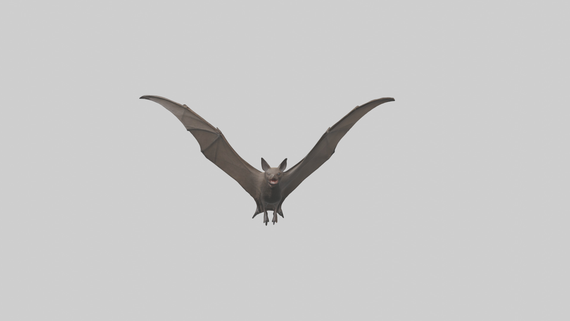 Fishing Bat flying model Low-poly 3D model_17