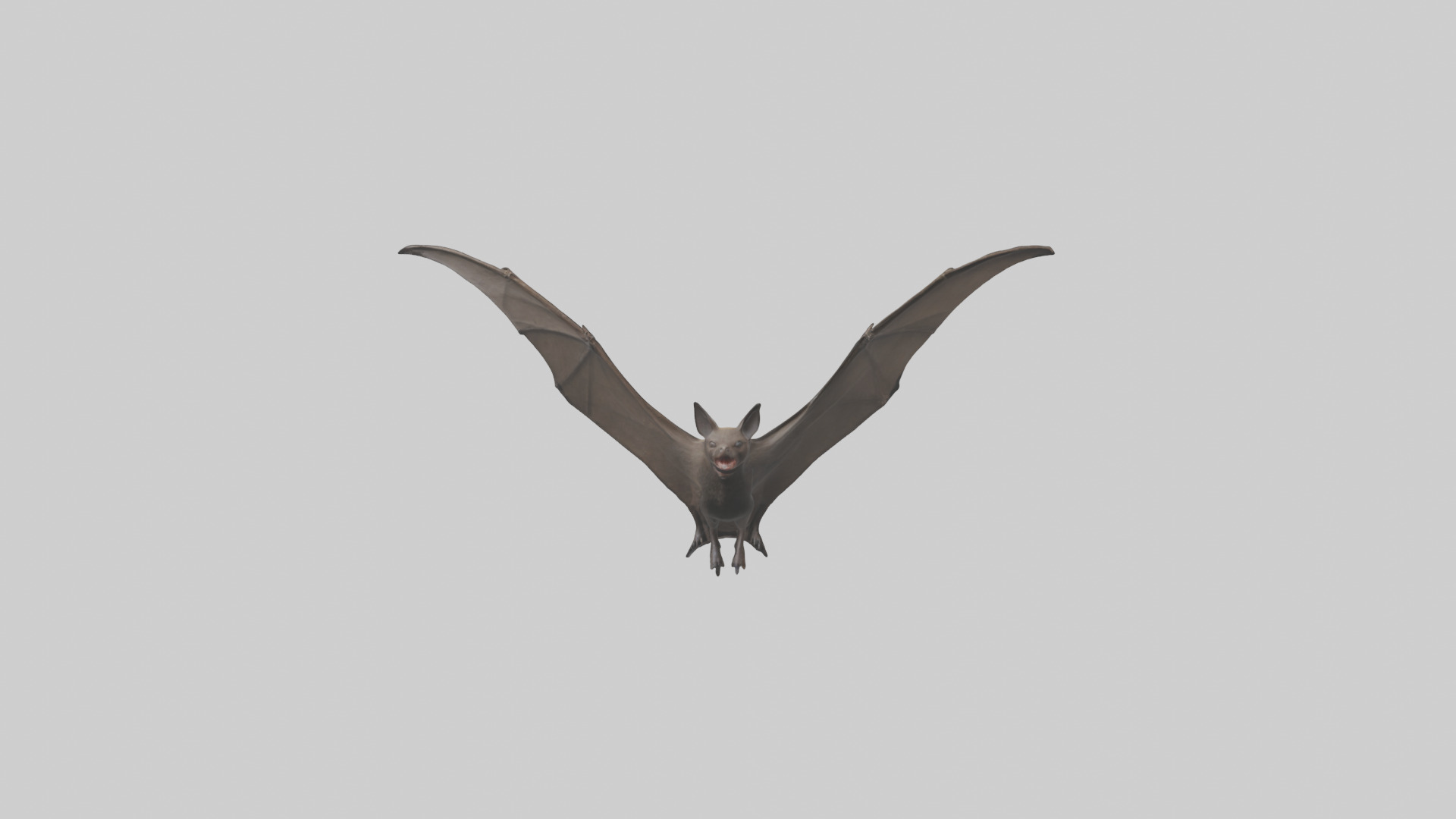 Fishing Bat flying model Low-poly 3D model_11