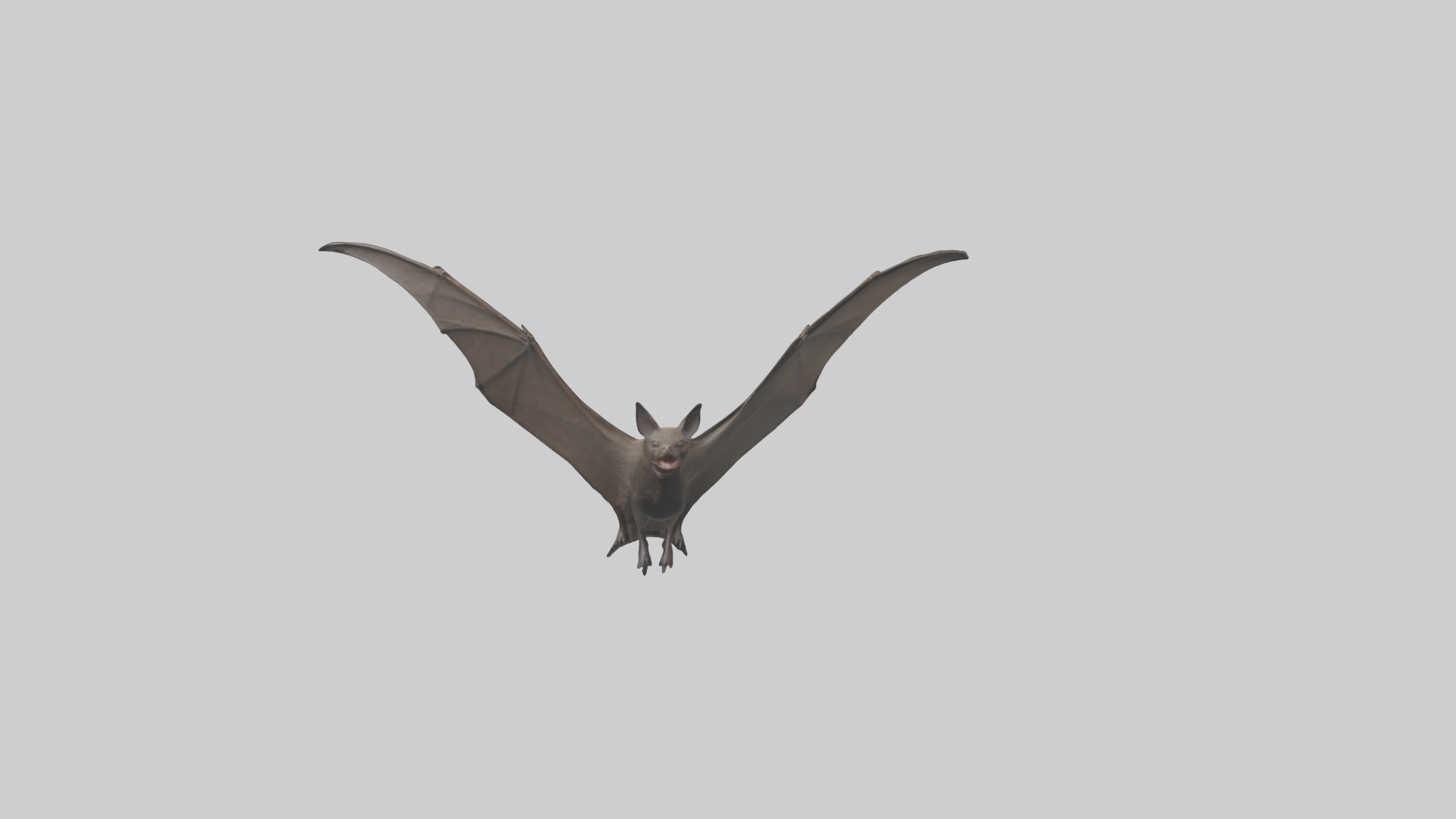 Fishing Bat flying model Low-poly 3D model_20