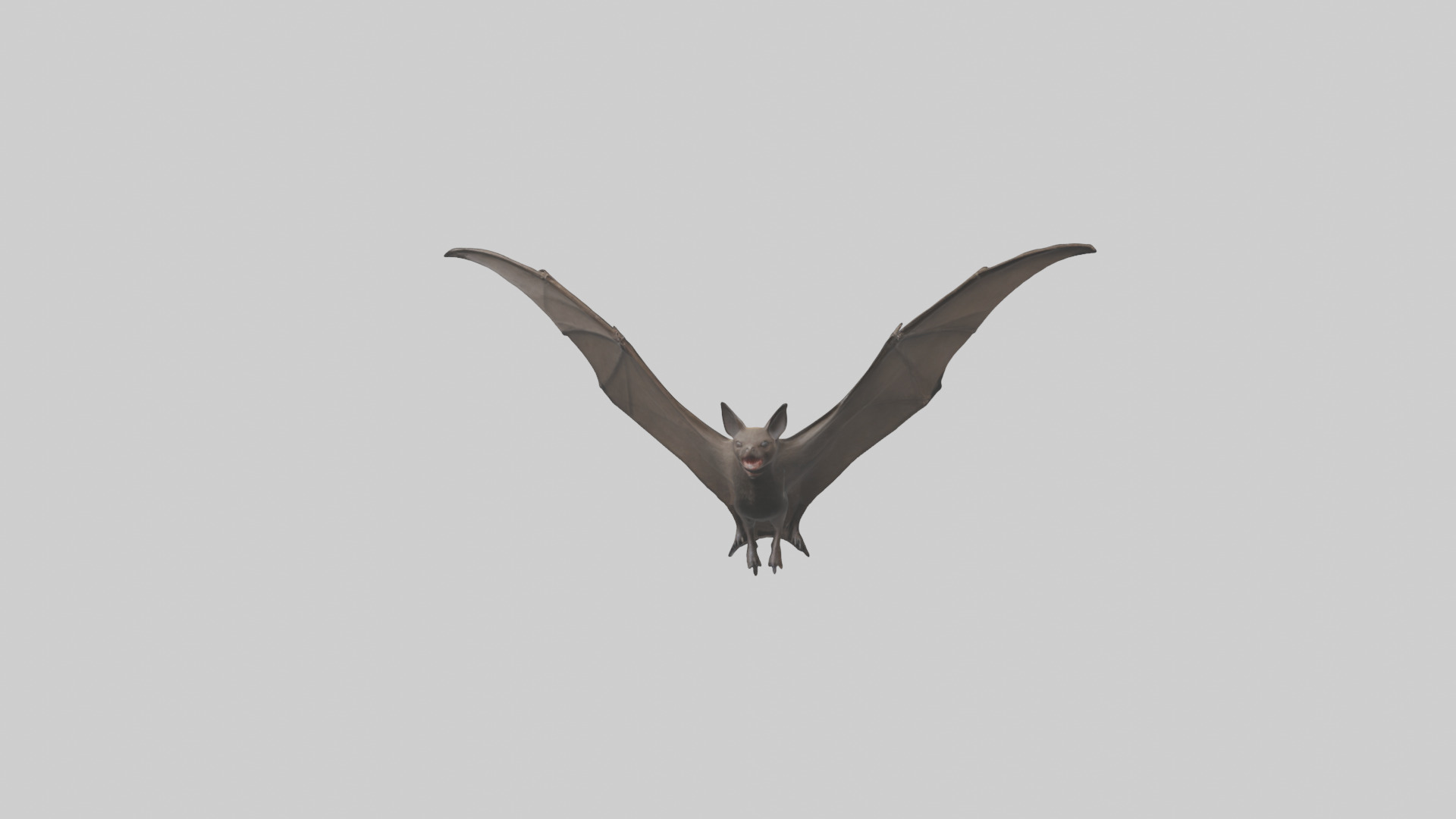 Fishing Bat flying model Low-poly 3D model_13