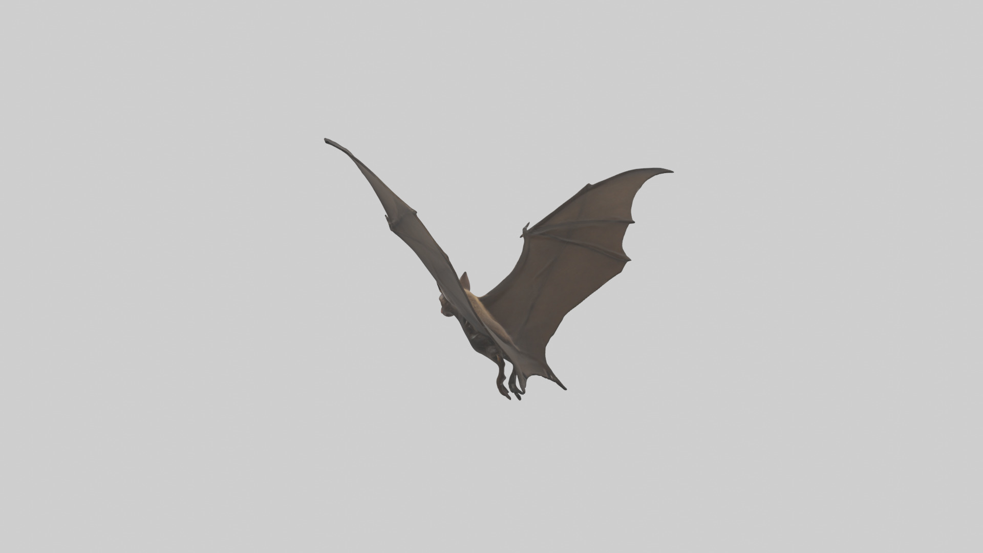 Fishing Bat flying model Low-poly 3D model_3