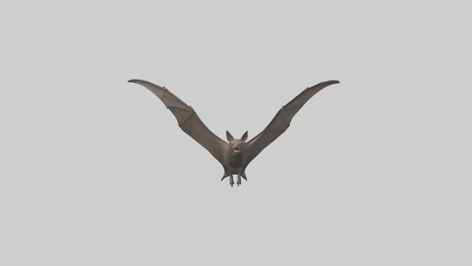 Fishing Bat flying model Low-poly 3D model_19